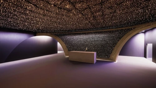 ufo interior,vaulted cellar,sky space concept,vaulted ceiling,concrete ceiling,capsule hotel,futuristic art museum,sci fi surgery room,3d rendering,wine cellar,conference room,chamber,vault,hallway space,planetarium,ceiling construction,render,archidaily,meeting room,air-raid shelter,Photography,Fashion Photography,Fashion Photography 12