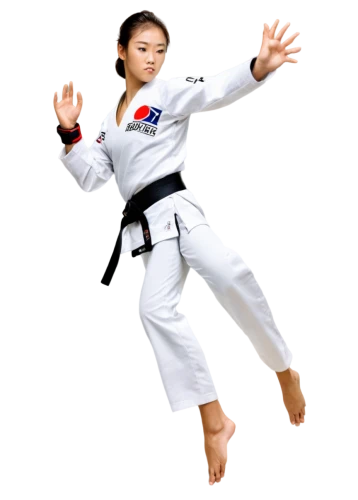 taekkyeon,tang soo do,taekwondo,haidong gumdo,judo,martial arts uniform,hapkido,shorinji kempo,karate,kajukenbo,dobok,amnat charoen,shidokan,japanese martial arts,kurash,buchardkai,black belt,marine corps martial arts program,baguazhang,jujitsu,Conceptual Art,Sci-Fi,Sci-Fi 15