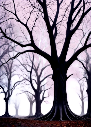 halloween bare trees,beech trees,tree grove,bare trees,old tree silhouette,the trees,foggy forest,walnut trees,deciduous trees,deciduous forest,tree canopy,tree silhouette,grove of trees,creepy tree,the roots of trees,row of trees,ash-maple trees,forest tree,copse,chestnut trees,Conceptual Art,Sci-Fi,Sci-Fi 24