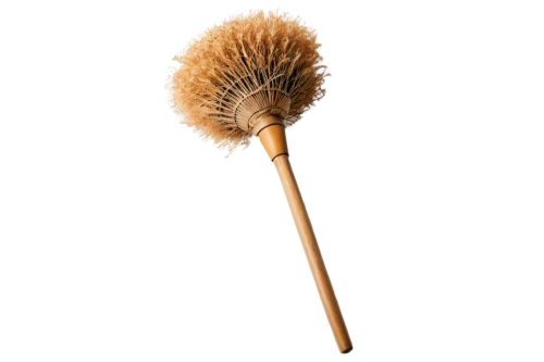 cosmetic brush,brooms,bristles,dish brush,natural brush,toilet brush,artist brush,hair brush,makeup brush,brush,cotton swab,broomstick,broom,lemon beebrush,percussion mallet,hairbrush,drum mallets,paintbrush,rice straw broom,brushes,Conceptual Art,Daily,Daily 03