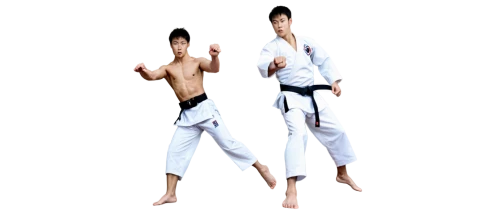 taekkyeon,haidong gumdo,hapkido,judo,martial arts uniform,shorinji kempo,kurash,taekwondo,tang soo do,japanese martial arts,shidokan,kajukenbo,amnat charoen,kenjutsu,dobok,iaijutsu,sōjutsu,aikido,karate,jujitsu,Illustration,Realistic Fantasy,Realistic Fantasy 47