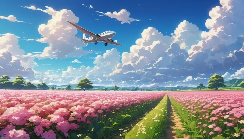 blooming field,flower field,tulip field,tulip fields,tulips field,flowers field,field of flowers,japanese sakura background,lavender field,sakura background,flying dandelions,sea of flowers,lavender fields,tulip festival,flying seeds,meadow in pastel,spring background,springtime background,sky butterfly,studio ghibli