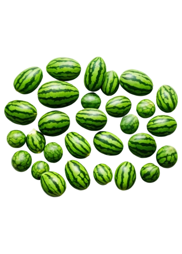 cucumis,pumpkin seeds,pea,pumpkin seed,chloroplasts,peperoncini,green soybeans,patrol,cucumbers,common bean,peas,moong bean,seedless,pods,aaa,mung bean,okra,cucuzza squash,unripe,pickled cucumbers,Illustration,American Style,American Style 10