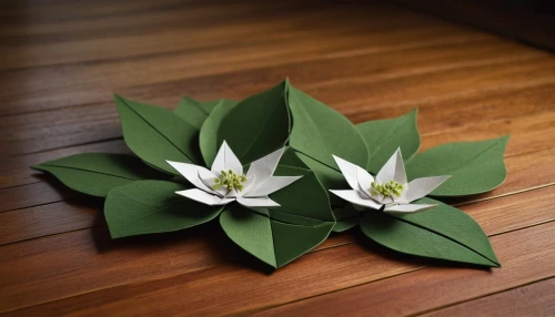 lotus leaf,lotus leaves,curry leaves,cape jasmine,tea flowers,wood flower,green folded paper,starflower,star anise,magnolia star,ikebana,golden lotus flowers,lotus png,four-leaf,water lily plate,minimalist flowers,flowers png,lotus flowers,bay-leaf,star flower,Conceptual Art,Sci-Fi,Sci-Fi 25