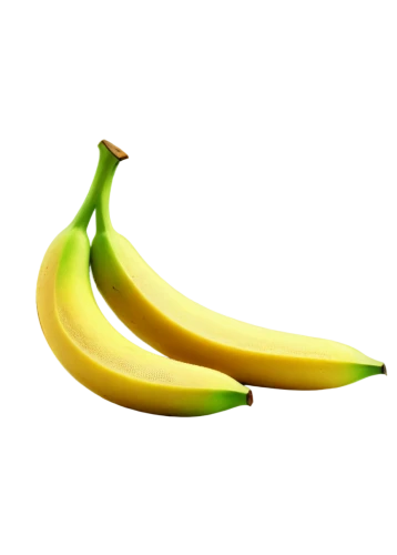 banana,monkey banana,nanas,bananas,banana peel,saba banana,banana cue,dolphin bananas,superfruit,ripe bananas,banana plant,banana apple,banana family,banana tree,schisandraceae,png image,mangifera,wall,gap fruits,semi-ripe,Art,Classical Oil Painting,Classical Oil Painting 21