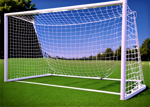 shot on goal,score a goal,soccer field,artificial turf,volleyball net,corner ball,football pitch,goalkeeper,penalty,soccer-specific stadium,artificial grass,the goal,soccer,soccer ball,sports equipment,futebol de salão,pallone,football equipment,footbal,penalty card,Conceptual Art,Daily,Daily 13