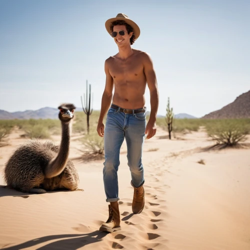 camelride,australian wildlife,mongoose,desert safari,aussie,bazlama,camel joe,two-humped camel,male camel,capture desert,shirtless,male model,camelid,wild west,argentina desert,western pleasure,admer dune,cowboy,vicuna,western film,Photography,General,Realistic