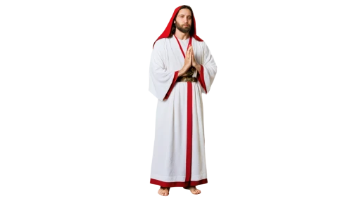 jesus figure,statue jesus,vestment,3d figure,rompope,pope,son of god,articulated manikin,holyman,religious item,png transparent,jesus cross,model train figure,angel figure,pope francis,metropolitan bishop,st,clergy,wooden figure,3d model,Illustration,American Style,American Style 06