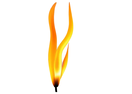 flaming torch,olympic flame,fire logo,flame flower,firespin,flame spirit,pencil icon,burning torch,flame of fire,torch tip,igniter,torch,flame lily,torch-bearer,matchstick,fire artist,fire flower,pillar of fire,candle wick,flameless candle,Photography,Documentary Photography,Documentary Photography 11