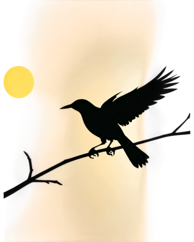 crow in silhouette,weathervane design,female silhouette,great-tailed grackle,american crow,currawong,butcherbird,brewer's blackbird,bobolink,new caledonian crow,bird illustration,corvidae,white-winged widowbird,boat tailed grackle,sunbird,wind vane,greater antillean grackle,carrion crow,crow-like bird,bird on branch,Unique,Paper Cuts,Paper Cuts 07