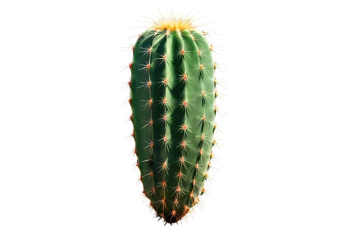 cactus digital background,cactus,peniocereus,opuntia,san pedro cactus,nopal,pitaya,aloe,prickly,acanthocereus tetragonus,watercolor cactus,prickly pear,prickle,cacti,fouquieria,phytolaccaceae,pitahaya,aloe vera,eastern prickly pear,fishbone cactus,Conceptual Art,Oil color,Oil Color 02