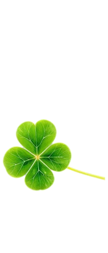 4-leaf clover,4 leaf clover,a four leaf clover,five-leaf clover,four-leaf clover,four leaf clover,three leaf clover,symbol of good luck,patrol,cleanup,shamrock,clover leaves,medium clover,clovers,lucky clover,shamrock balloon,pot of gold background,long ahriger clover,shamrocks,spring leaf background,Art,Classical Oil Painting,Classical Oil Painting 30