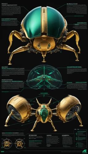 scarab,scarabs,chafer,the beetle,forest beetle,jewel beetles,chrysops,beetles,arthropod,beetle,vector infographic,hornet,arthropods,mantis,drone bee,cicada,elephant beetle,coleoptera,entomology,the stag beetle,Unique,Design,Infographics