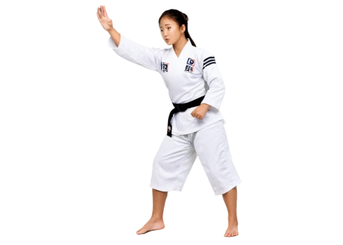 taekkyeon,martial arts uniform,tang soo do,haidong gumdo,hapkido,taekwondo,judo,shorinji kempo,equal-arm balance,kajukenbo,dobok,black belt,amnat charoen,qi gong,tula fighting goose,marine corps martial arts program,karate,shidokan,japanese martial arts,baguazhang,Illustration,Japanese style,Japanese Style 17