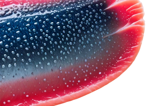 watermelon background,bowl of fruit in rain,watermelon wallpaper,sliced watermelon,watermelon painting,watermelon umbrella,watermelon,watermelon pattern,seedless fruit,cut watermelon,grapefruit,watermelon slice,melon,dragonfruit,seedless,watermelons,pomelo,passion-fruit,watercolor fruit,gummy watermelon,Illustration,Realistic Fantasy,Realistic Fantasy 03