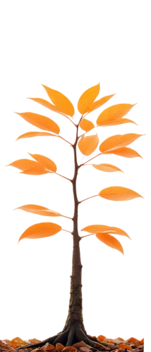 flourishing tree,maple bonsai,tangerine tree,cardstock tree,growth icon,potted tree,argan tree,bonsai tree,palm tree vector,penny tree,small tree,deciduous tree,sapling,birch tree illustration,orange tree,silk tree,argan trees,isolated tree,brown tree,upward tree position,Art,Classical Oil Painting,Classical Oil Painting 04