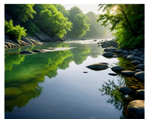 river landscape,a river,wuyi,aaa,clear stream,kerala,aa,river of life project,river cooter,freshwater,landscape photography,mountain river,gangavali river,green trees with water,danube gorge,green water,flowing creek,landscape background,stream bed,aura river,Conceptual Art,Daily,Daily 09