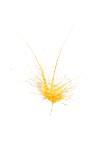 yellow nutsedge,missing particle,hawkbit,whisk,false saffron,dandelion flying,last particle,stamen,dried-lemon,bristles,yellow anemone,yellow orange,spirography,safflower,finch in liquid amber,acridine yellow,feather bristle grass,dried petals,fibers,wattleseed,Illustration,Japanese style,Japanese Style 14