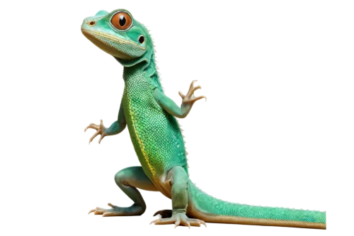 malagasy taggecko,emerald lizard,green lizard,iguanidae, anole,anole,european green lizard,lizard,green crested lizard,patrol,iguana,gecko,carolina anole,landmannahellir,wall,wonder gecko,dragon lizard,madagascar,cleanup,eleutherodactylus,Illustration,Vector,Vector 06