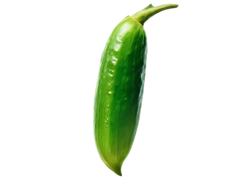 serrano pepper,serrano peppers,okra,snap pea,green bell pepper,horn cucumber,poblano,armenian cucumber,green pepper,peperoncini,jalapeño,pea,bellpepper,cucumis,pointed gourd,jalapenos,cucumber,chile pepper,bell pepper,cucuzza squash,Illustration,Japanese style,Japanese Style 18