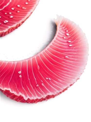 sliced watermelon,blood milk mushroom,sashimi,russula,endive,radicchio,red onion,bresaola,flaccid anemone,scallop,red garlic,anago,anti-cancer mushroom,red anemone,mushroom coral,jamón,blood cell,pink quill,lingzhi mushroom,ray anemone,Conceptual Art,Daily,Daily 32