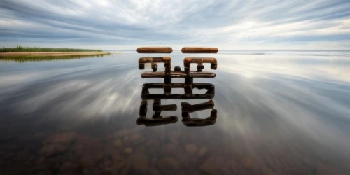 reflection in water,i ching,reflection of the surface of the water,water reflection,reflections in water,water mirror,mirror water,zen,reflection,finland,mirror reflection,totem,upside down,mirroring,runes,wood mirror,latvia,lyre,hulunbuir,vertical chess,Realistic,Flower,Columbine