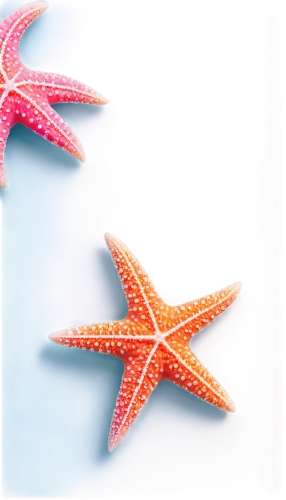 starfishes,christmas snowflake banner,banner,sea star,aerospace manufacturer,star scatter,cinnamon stars,web banner,colorful star scatters,rating star,star bunting,motifs of blue stars,star garland,logo header,star pattern,six-pointed star,biosamples icon,decorative arrows,rows of planes,six pointed star,Conceptual Art,Fantasy,Fantasy 08
