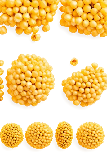 corn kernels,chickpea,soybean,kernels,mustard seeds,bee eggs,legume,maize,lentils,yellow raspberries,corn,hippophae,legume family,soybean oil,mung bean,cowpea,stud yellow,corn salad,cob,dal,Art,Classical Oil Painting,Classical Oil Painting 31