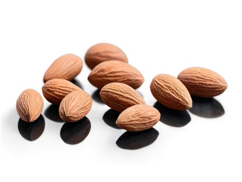 unshelled almonds,almond nuts,indian almond,almonds,salted almonds,roasted almonds,almond,chocolate-coated peanut,cocoa beans,almond meal,pine nuts,beaked hazelnut,hazelnuts,almond oil,pecan,apricot kernel,argan,pine nut,cocoa solids,walnuts,Illustration,Realistic Fantasy,Realistic Fantasy 47