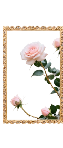 peony frame,rose frame,roses frame,floral silhouette frame,floral and bird frame,frame rose,decorative frame,floral frame,gold foil art deco frame,flower frame,flowers frame,flower frames,botanical frame,valentine frame clip art,frame flora,art deco frame,digital photo frame,watercolor frame,flowers png,wedding frame,Conceptual Art,Daily,Daily 14