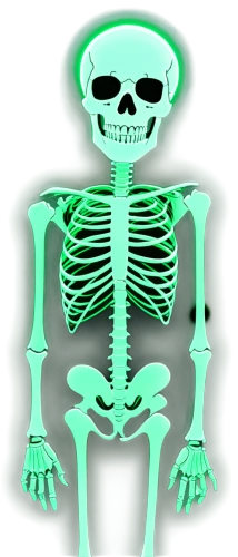 skeletal,skeleton,human skeleton,vintage skeleton,skeletal structure,calcium,skeleltt,bowl bones,bone,skeletons,skeleton sections,skull bones,day of the dead skeleton,chair png,scull,png image,skull allover,png transparent,soup bones,bones,Photography,Documentary Photography,Documentary Photography 03