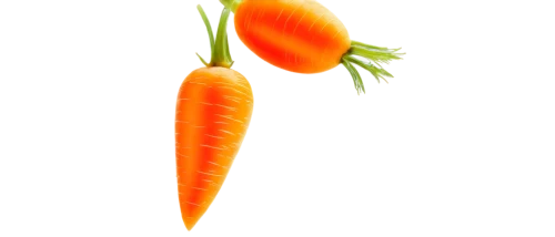 carrot,carrots,love carrot,carrot pattern,big carrot,baby carrot,carrot salad,carrot print,carrot juice,orange,fresh orange,half orange,wall,kawaii vegetables,hippophae,orange trumpet,defense,root vegetable,vegetable,tangerine,Photography,Fashion Photography,Fashion Photography 11