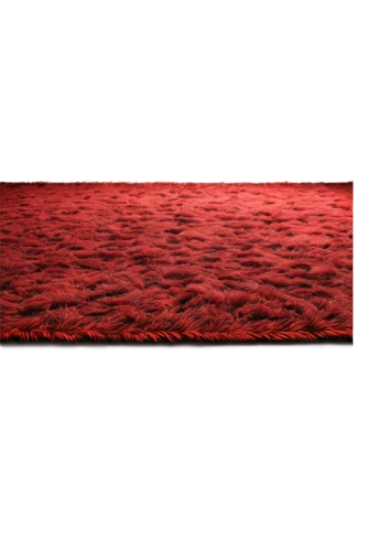 red sand,red earth,landscape red,red border,rug pad,carpet,red sea,red wall,red cliff,rug,red matrix,red banner,red bench,red sail,red confetti,blood amaranth,poppy field,red tablecloth,playmat,the sea of red,Art,Classical Oil Painting,Classical Oil Painting 25