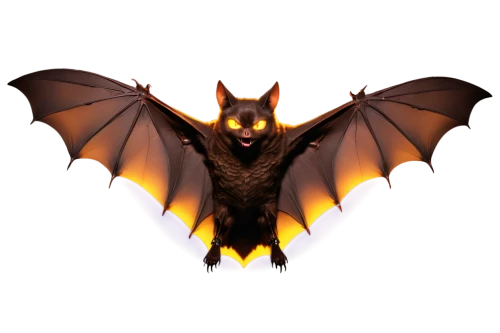 lantern bat,bat,megabat,bat smiley,vampire bat,halloween vector character,fruit bat,bats,hanging bat,tropical bat,little red flying fox,dark-type,big brown bat,halloween icons,draconic,charizard,twitch logo,halloween banner,flying fox,firestar,Conceptual Art,Sci-Fi,Sci-Fi 28