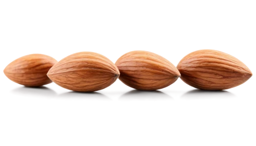 almond nuts,unshelled almonds,indian almond,walnuts,almonds,almond,hazelnuts,walnut,beaked hazelnut,acorns,pine nuts,wooden balls,areca nut,tree nut,pine nut,salted almonds,nut corners,almond oil,mixed nuts,nutmeg,Conceptual Art,Daily,Daily 08