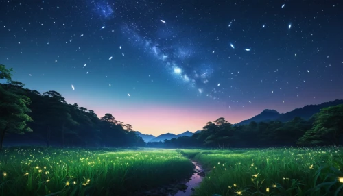 starry sky,colorful stars,fairy galaxy,milky way,star sky,night stars,the milky way,colorful star scatters,starry night,milkyway,the night sky,night sky,fireflies,nightsky,star of bethlehem,magic star flower,japan's three great night views,falling stars,moon and star background,star flower,Photography,General,Realistic