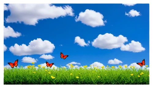 spring leaf background,butterfly clip art,flower background,spring background,butterfly background,background vector,springtime background,dandelion background,flowers png,flying dandelions,landscape background,dandelion flying,blue butterfly background,cloud shape frame,cloud image,tulip background,life stage icon,butterfly isolated,butterfly vector,floral background,Unique,3D,Toy