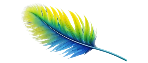 peacock feather,parrot feathers,feather,bird feather,peacock feathers,feather pen,twitter logo,color feathers,feather bristle grass,swan feather,bird-of-paradise,chicken feather,prince of wales feathers,hawk feather,feathers,feather on water,feathers bird,beak feathers,feather headdress,bristles,Art,Classical Oil Painting,Classical Oil Painting 37