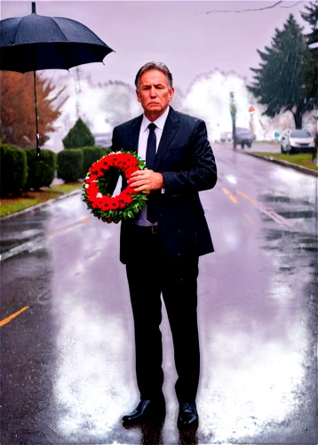 remembrance day,lest we forget,unknown soldier,fallen heroes of north macedonia,commemoration,red rose in rain,pour féliciter,remembrance,hitchcock,man with umbrella,anzac day,seidenmohn,memorial day,anzac,honor,governor,vietnam veteran,veterans day,memorial,veteran's day,Conceptual Art,Oil color,Oil Color 20