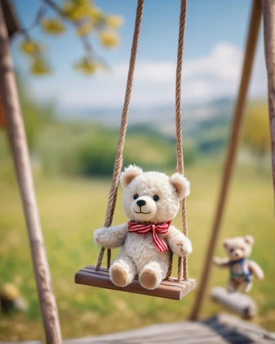 wooden swing,garden swing,swing set,hanging swing,empty swing,teddy bear waiting,swinging,tree swing,children's background,hanging chair,3d teddy,golden swing,monchhichi,swing,outdoor play equipment,cute bear,girl and boy outdoor,meadow play,teddy-bear,child in park,Unique,3D,Panoramic