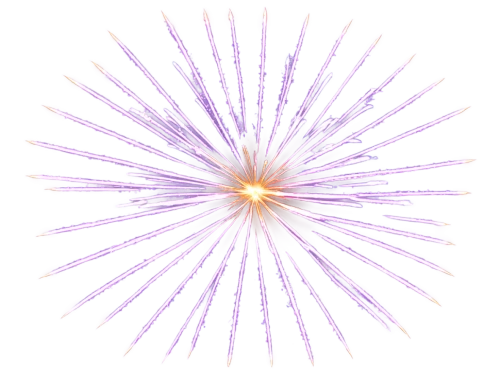 crown chakra,crown chakra flower,purple pageantry winds,spirography,purple salsify,flowers png,purpleabstract,missing particle,purple,light purple,star anemone,the petals overlap,trajectory of the star,plasma bal,purple daisy,sunburst background,last particle,pyrotechnic,spirograph,sea-urchin,Illustration,Retro,Retro 20