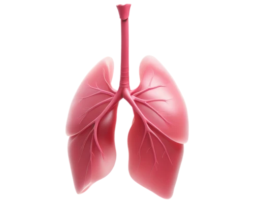 lungs,lung cancer,lung,respiratory protection,medical illustration,copd,nonsmoker,lung ching,smoking cessation,airway,ventilate,liver,windpipe,cotton swab,oxygen mask,respiratory protection mask,breathing mask,nasal drops,venereal diseases,electronic cigarette,Illustration,Black and White,Black and White 08