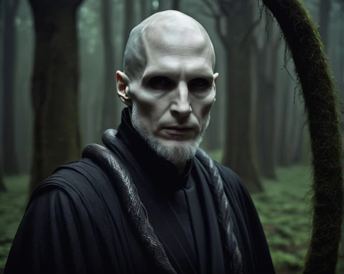 mundi,the abbot of olib,jedi,middle eastern monk,count,tekwan,lokportrait,monk,peterbald,darth wader,gothic portrait,dracula,indian monk,clone jesionolistny,dark elf,violet head elf,pagan,senate,male elf,the emperor's mustache,Photography,Documentary Photography,Documentary Photography 21