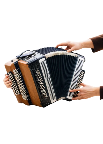 squeezebox,bandoneon,diatonic button accordion,accordion,button accordion,autoharp,accordion player,accordionist,concertina,pan flute,musical instrument accessory,panpipe,musical instrument,folk instrument,charango,psaltery,melodica,electronic musical instrument,musical keyboard,hurdy gurdy,Illustration,Retro,Retro 23