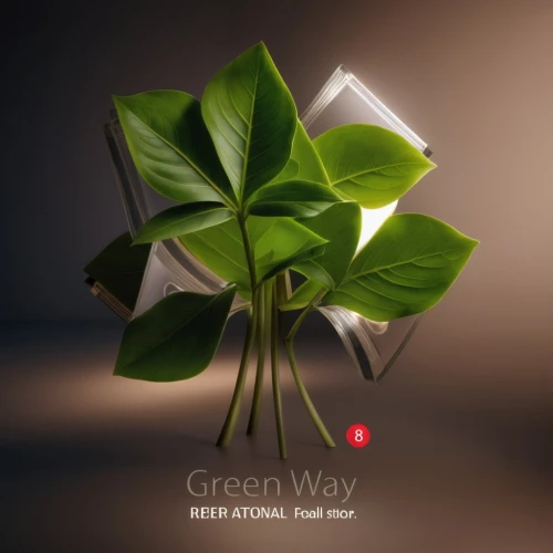 bay-leaf,custody leaf,renewable enegy,cd cover,clover leaves,green folded paper,one day international,low poly coffee,century plant,money plant,four-leaf,low-poly,low poly,real celery,1 may,bay leaf,narrow clover,rose leaf,celery plant,ikebana,Photography,General,Realistic
