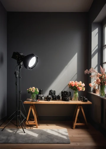 the living room of a photographer,photography studio,still life photography,studio light,visual effect lighting,tabletop photography,canon speedlite,photo equipment with full-size,cuckoo light elke,photo studio,scene lighting,danish furniture,track lighting,product photography,product photos,danish room,rental studio,helios 44m7,light stand,helios 44m,Photography,Black and white photography,Black and White Photography 13