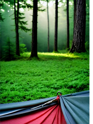 tent camping,camping tents,tents,tent at woolly hollow,tent tops,camping tipi,camping equipment,campire,hammocks,camping,tent,roof tent,campsite,hammock,large tent,tent camp,outdoor recreation,campground,camping gear,camping car,Illustration,Vector,Vector 14