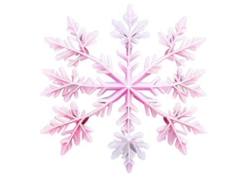 snowflake background,flowers png,christmas snowflake banner,floral digital background,pink floral background,pink flower white,white floral background,flower background,tuberose,pink vector,floral background,summer snowflake,flower pink,white-pink,snow flake,white snowflake,kaleidoscope website,wreath vector,pink-white,flower illustration,Illustration,Vector,Vector 09