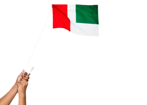 flag of uae,italian flag,uae flag,united arab emirates flag,italy flag,bulgaria flag,segugio italiano,vatican city flag,omani,national flag,uae,race flag,volpino italiano,hd flag,flag of iran,apulia,united arab emirates,race track flag,indian flag,italia,Photography,Fashion Photography,Fashion Photography 22