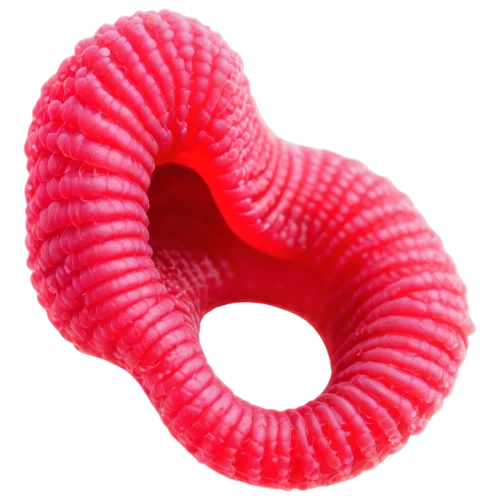 inflatable ring,flaccid anemone,luffa,pipe cleaner,dog toy,dog chew toy,gummy worm,teething ring,mouth harp,onion ring,dog toys,polyp,mouth guard,earplug,ringed-worm,suction cups,finger ring,squid rings,cockscomb,onion rings,Illustration,Black and White,Black and White 26